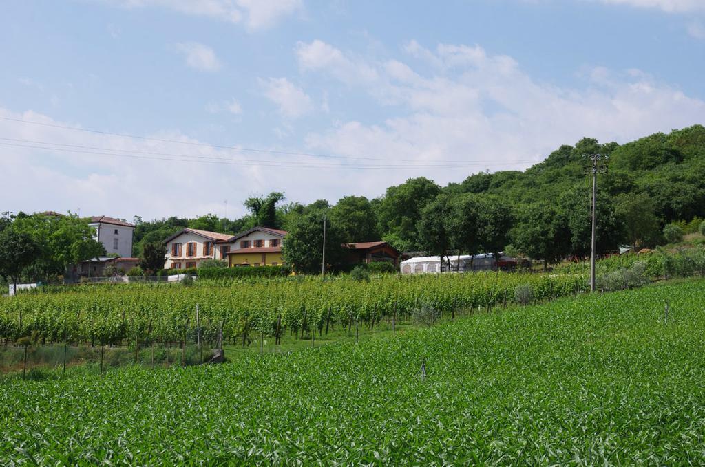 Agriturismo Casa Villi Solferino Ngoại thất bức ảnh